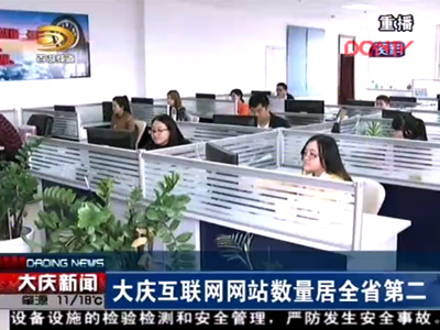 大庆互联网网站数量居全省第二 网站约2795个占全省8.9%